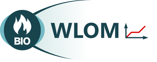 WLOM (BOOSTER) Logo